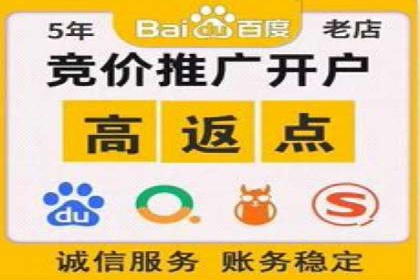 探索百度竞价代运营公司的成功之路